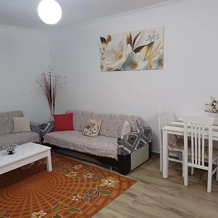 Apartment Brisi